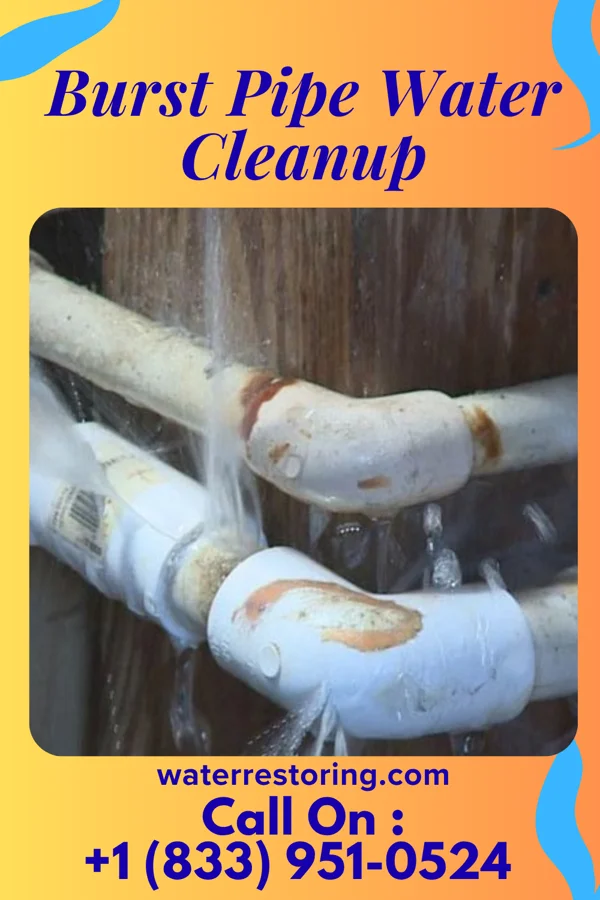 Burst Pipe Water Cleanup in Hunter, AR